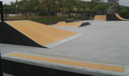 Charles L. Lewis Memorial Skate Park
