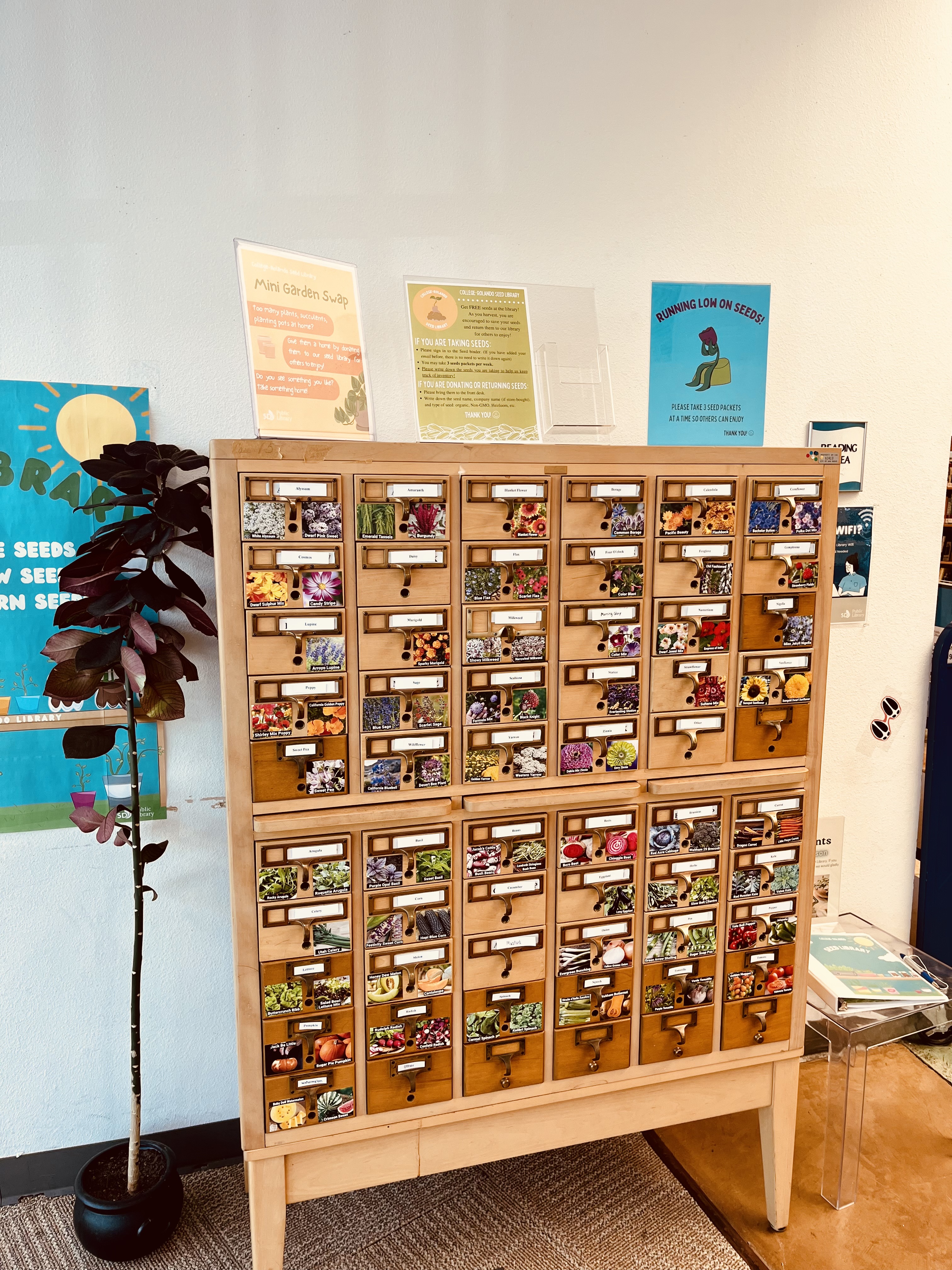 Seed library at College-Rolando Library