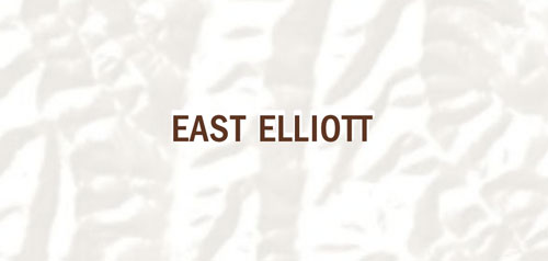 Graphical map of East Elliott neighborhood