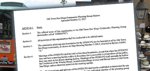 Screenshot of Bylaws document