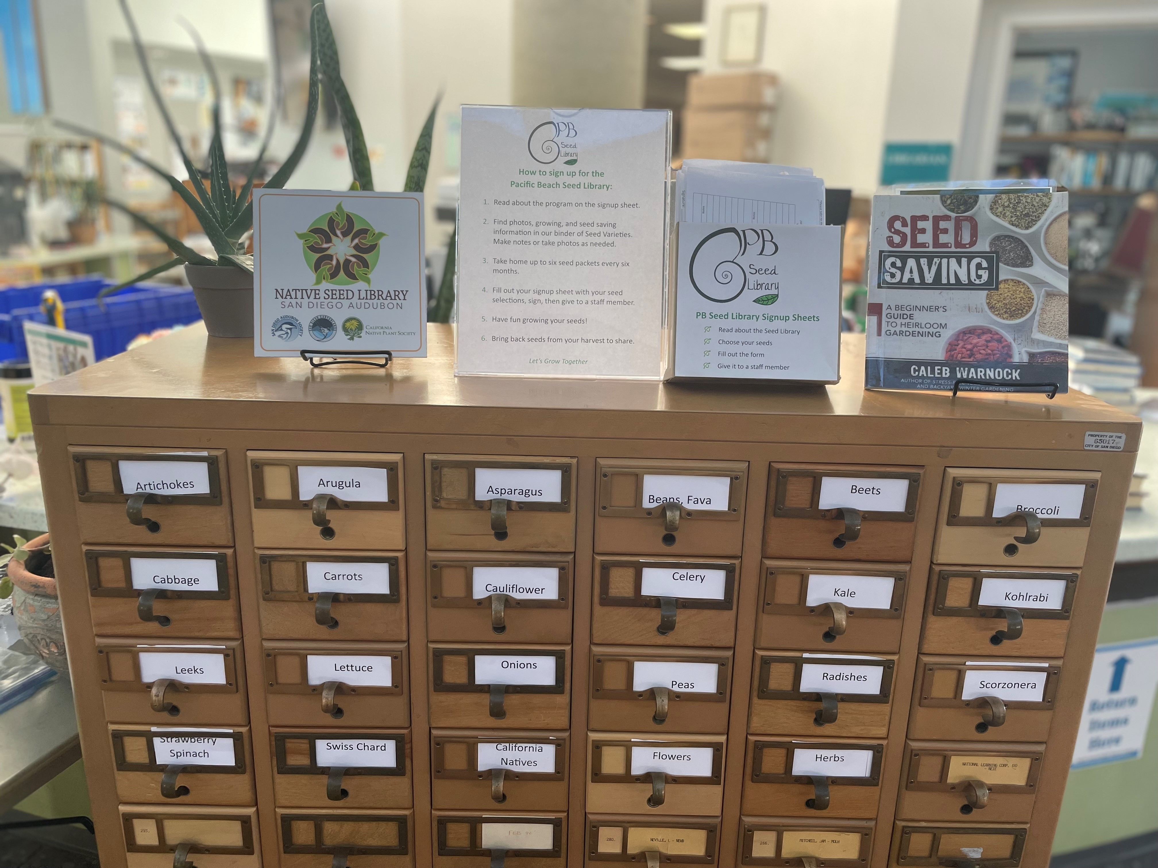 Library card catalog repurposed for a seed library