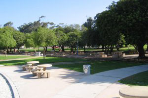 Photo of Pepper Grove, 3 of 4