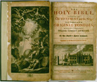 Vinegar Bible Image