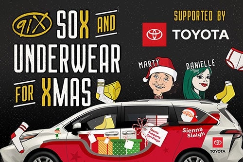 91x Sox and Underwear for XMas