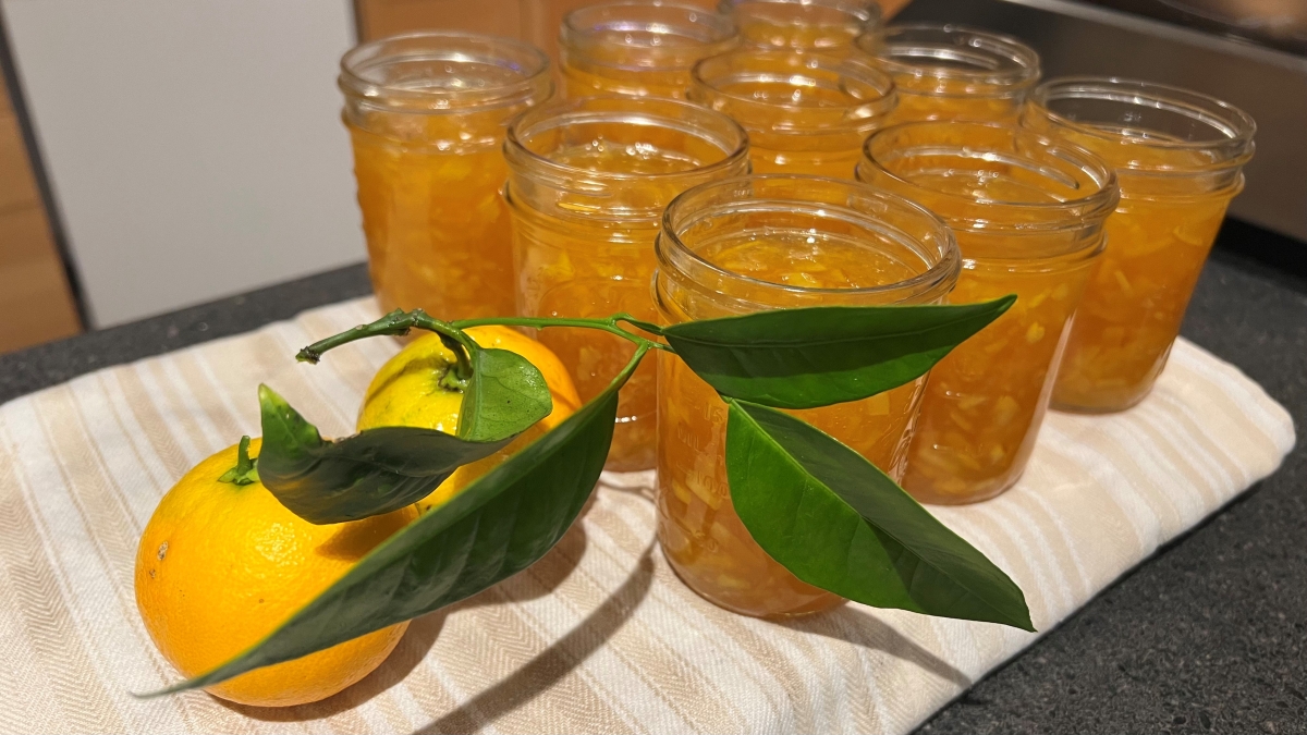 Jars of orange marmalade