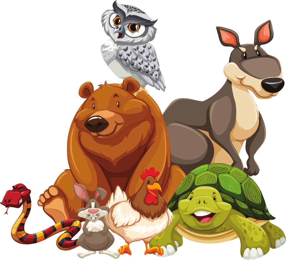 Owl, bear, turtle, kangaroo, snake, rabbit and chicken