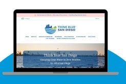 Computer screen showing Think Blue Website