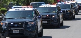 Squad of police vehicles driving down a street