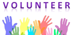 Volunteer Opportunity of the Quarter