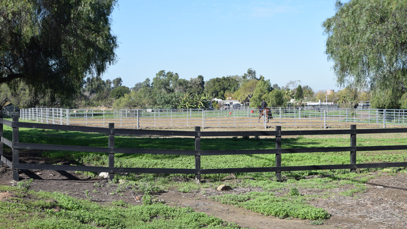 An equestrian riding a horse in an enclosed pen located in the Tijuana River Valley