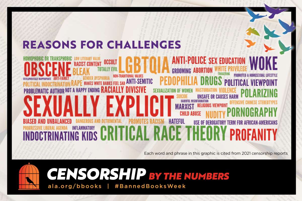 Infographic for book challenge reasons.