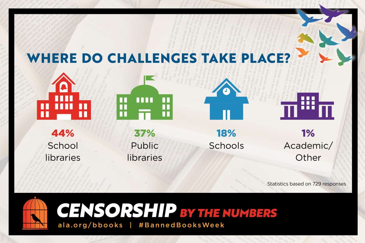 Infographic for where book challenges take place.
