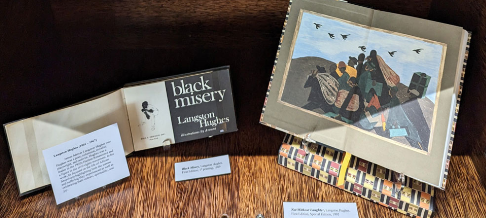 San Diego Public Library celebrates Black History Month with informational displays.