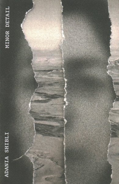 Book cover for Minor Detail