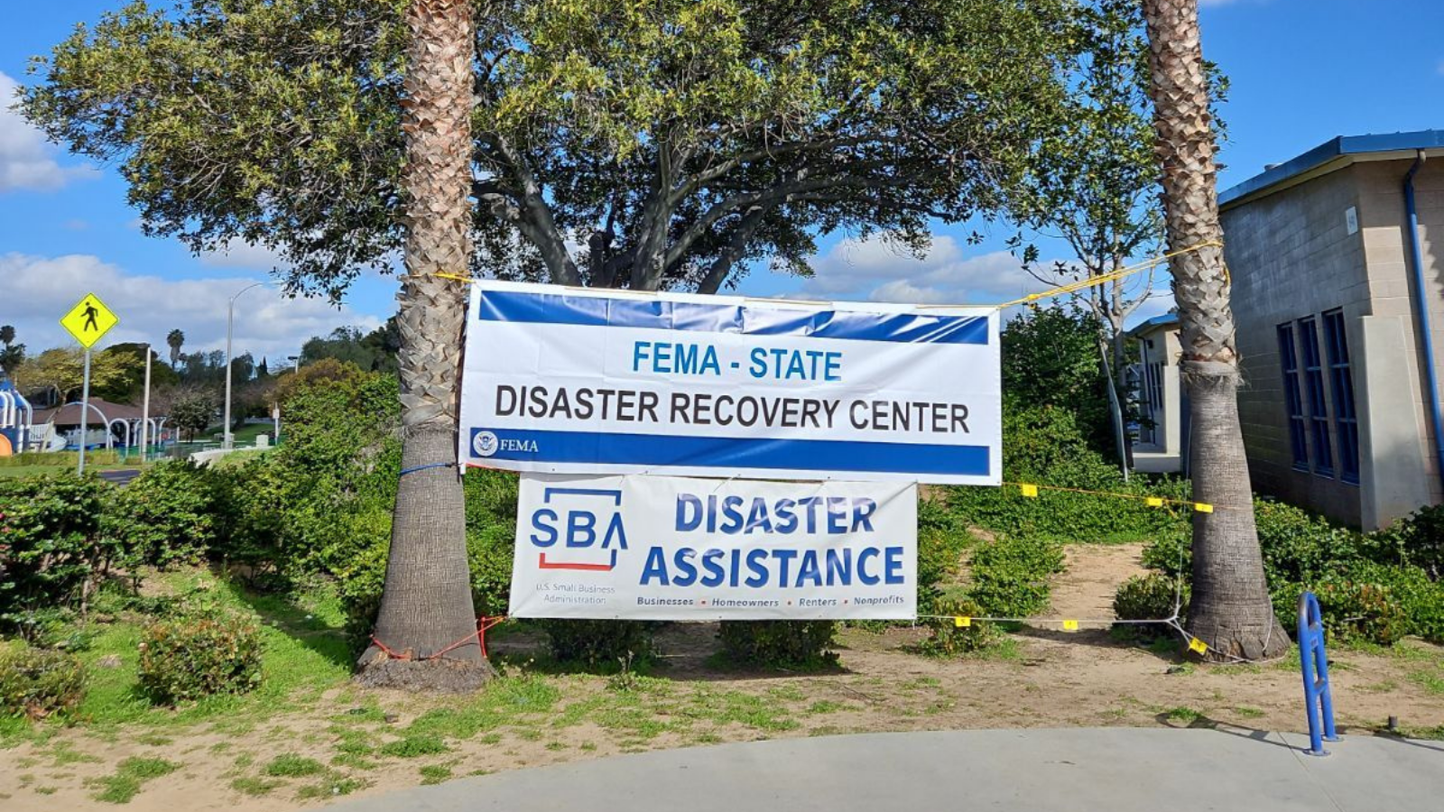 Two banners posted between two trees that state FEMA Disaster Recovery Center and Disaster Assitance