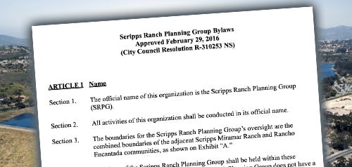 Screenshot of Bylaws document