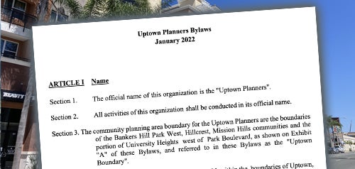 Screenshot of Bylaws document