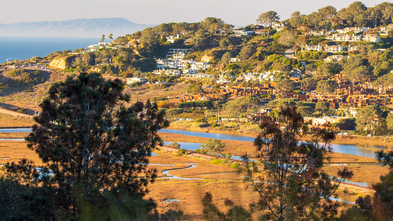 A hillside Torrey Pines neighborhood overlooking the Pacific Ocean