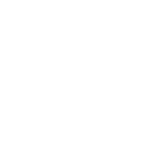 Icon for records requests