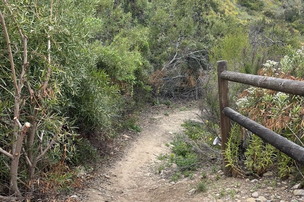 Chollas Creek Oak Park Trail