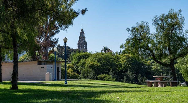 A grassy area in Balboa Park with the California Tower in the background