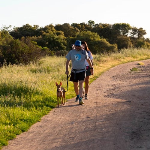 people hiking on trail