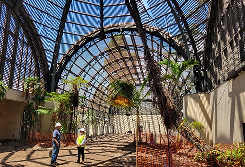 Botanical garden interior under construction