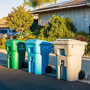 Trash bins by the curb awaiting collection