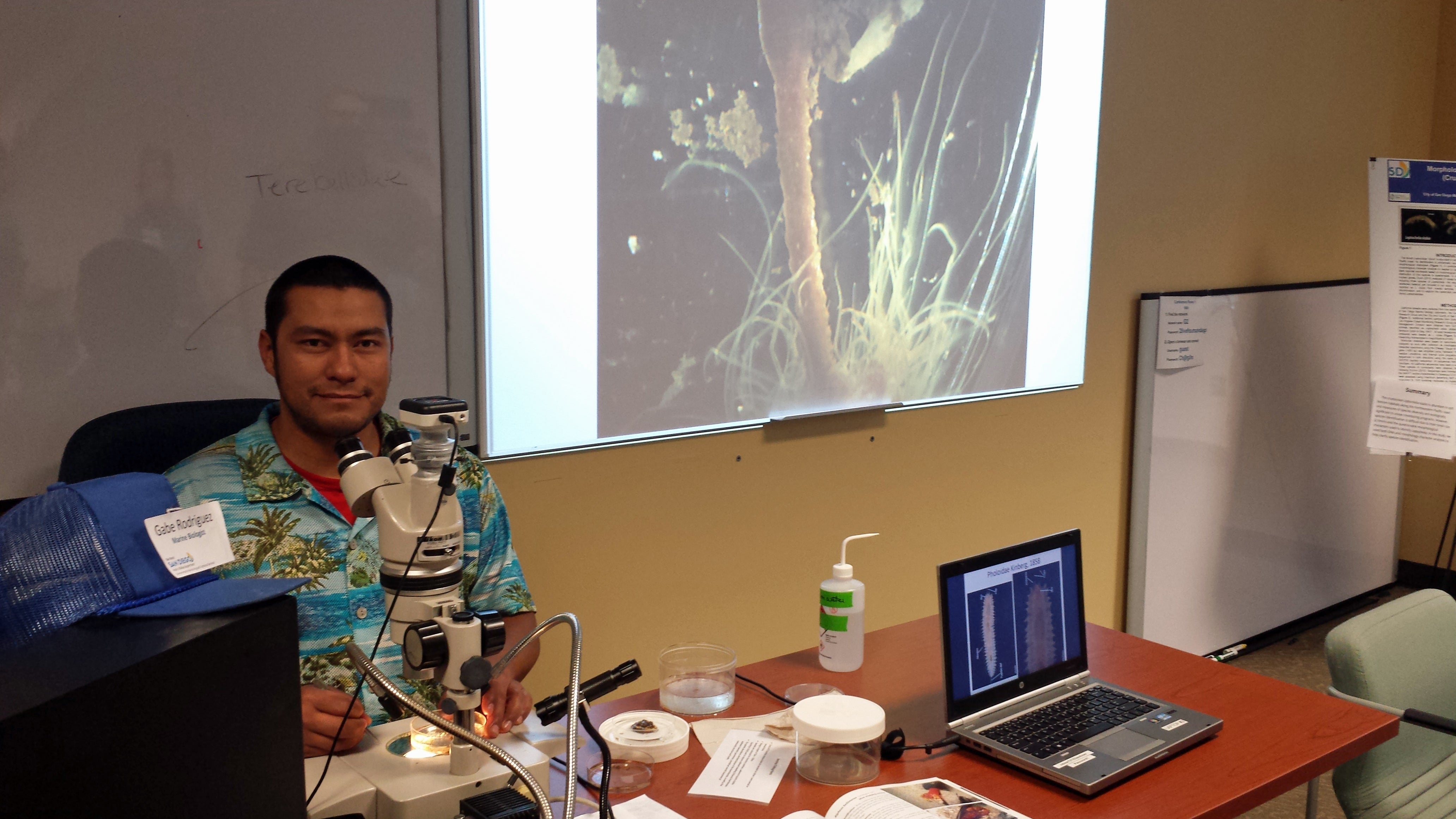 A marine biologist shows an inverterbrate specimen under a microscope projected onto a screen.