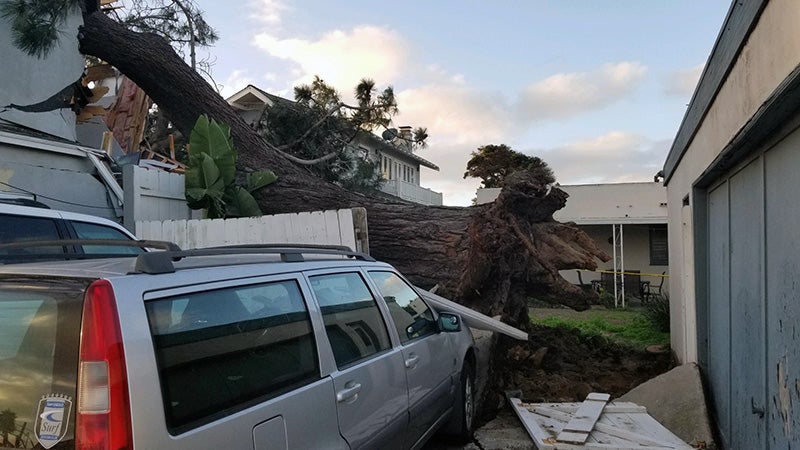 A fallen tree uprooted by a storm and damaging a house