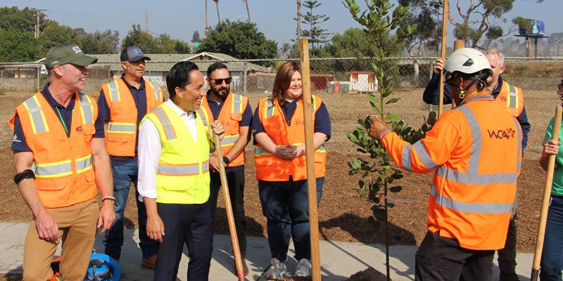 Mayor Todd Gloria planting trees