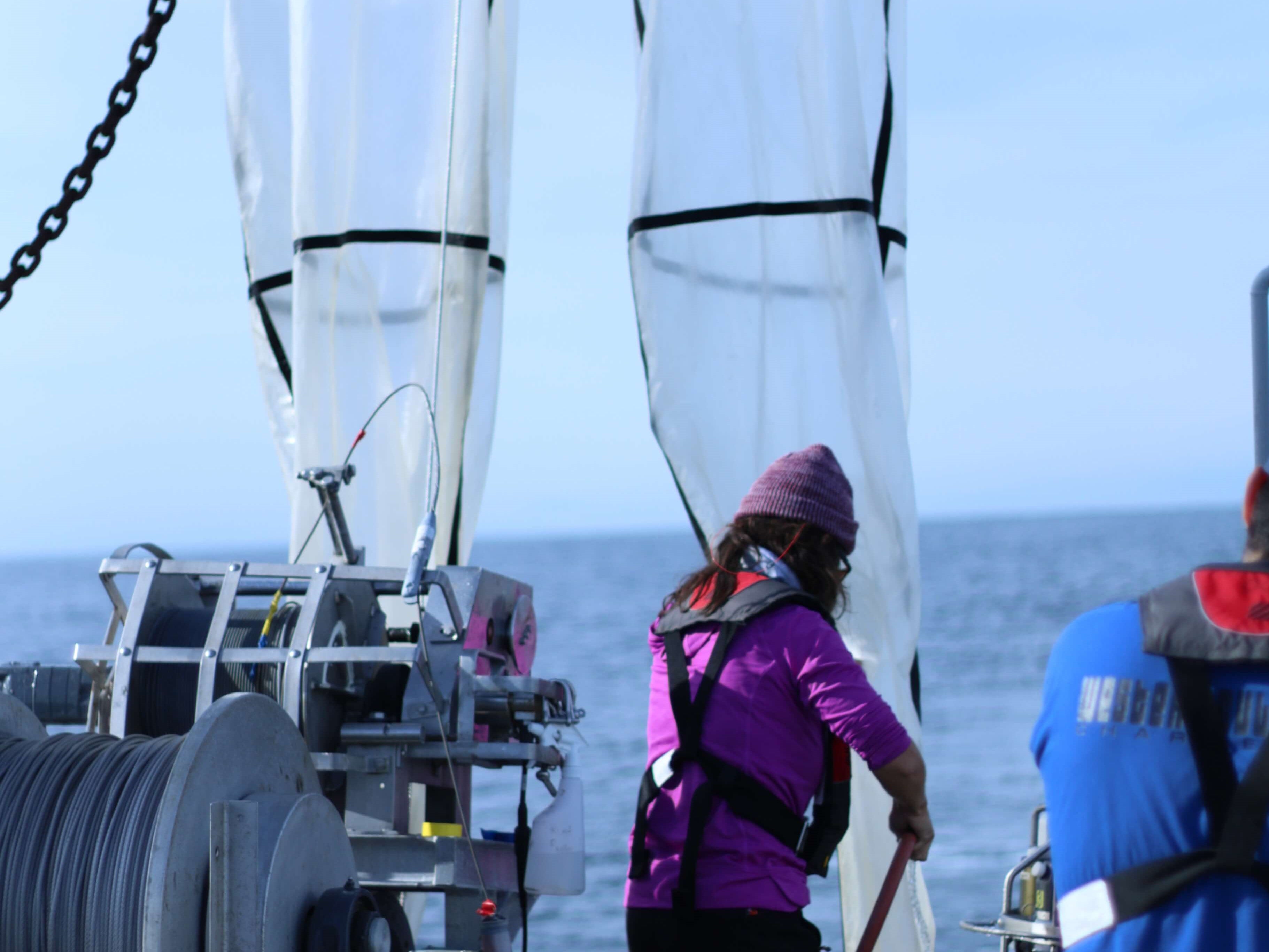 A marine biologist processes a bongo net tow by washing all material from the nets down to a bottle at the narrow end of the net.