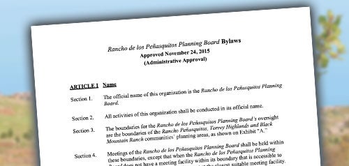 Screenshot of Bylaws document