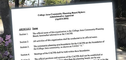 Screenshot of Bylaws document