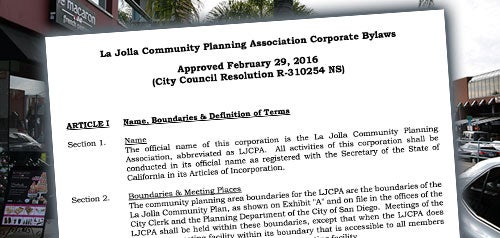 Screenshot of Bylaws document