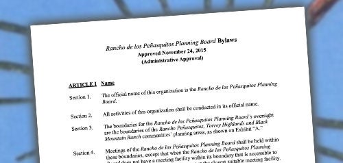 Screenshot of Bylaws document