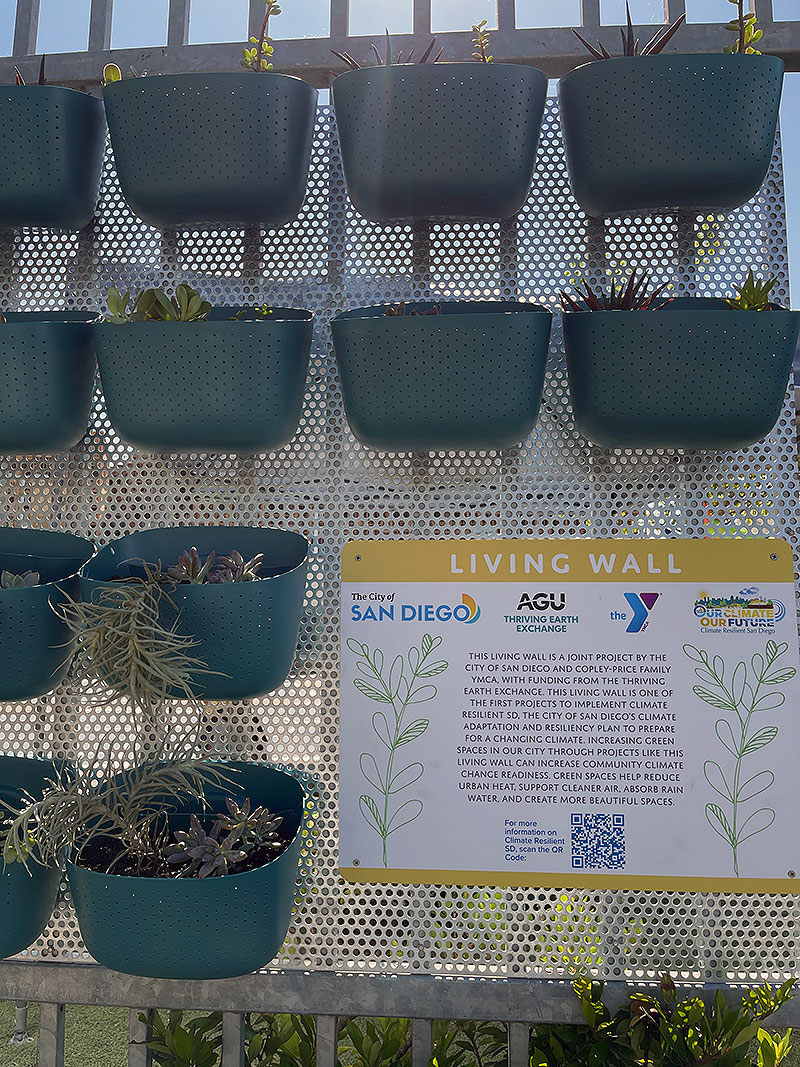Living Wall exhibit consisting of potted plants attached to a metal grate