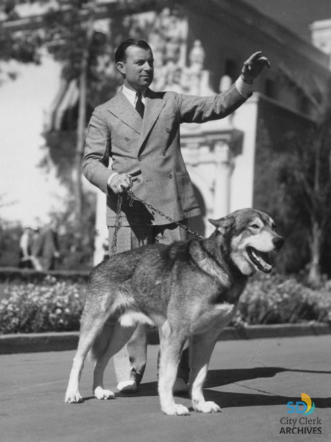 1935-36 California Pacific Exposition, Lee Duncan with Rin Tin Tin, Jr. |  City of San Diego Official Website
