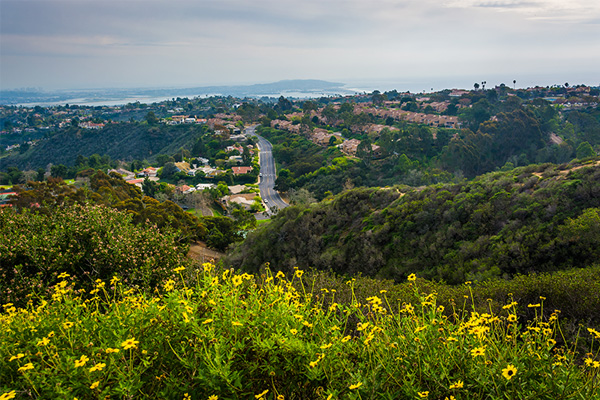 Scenic view of La Jolla hillside neighborhood