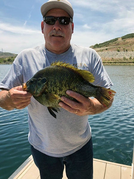 Angler displaying fish caught at reservoir lake