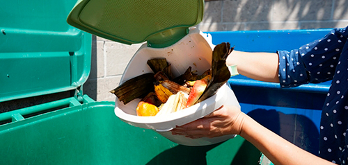 woman recycling organic waste