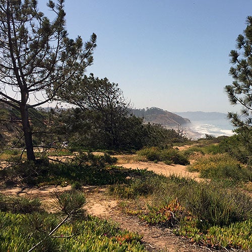 Hiking trail overlooking the ocean