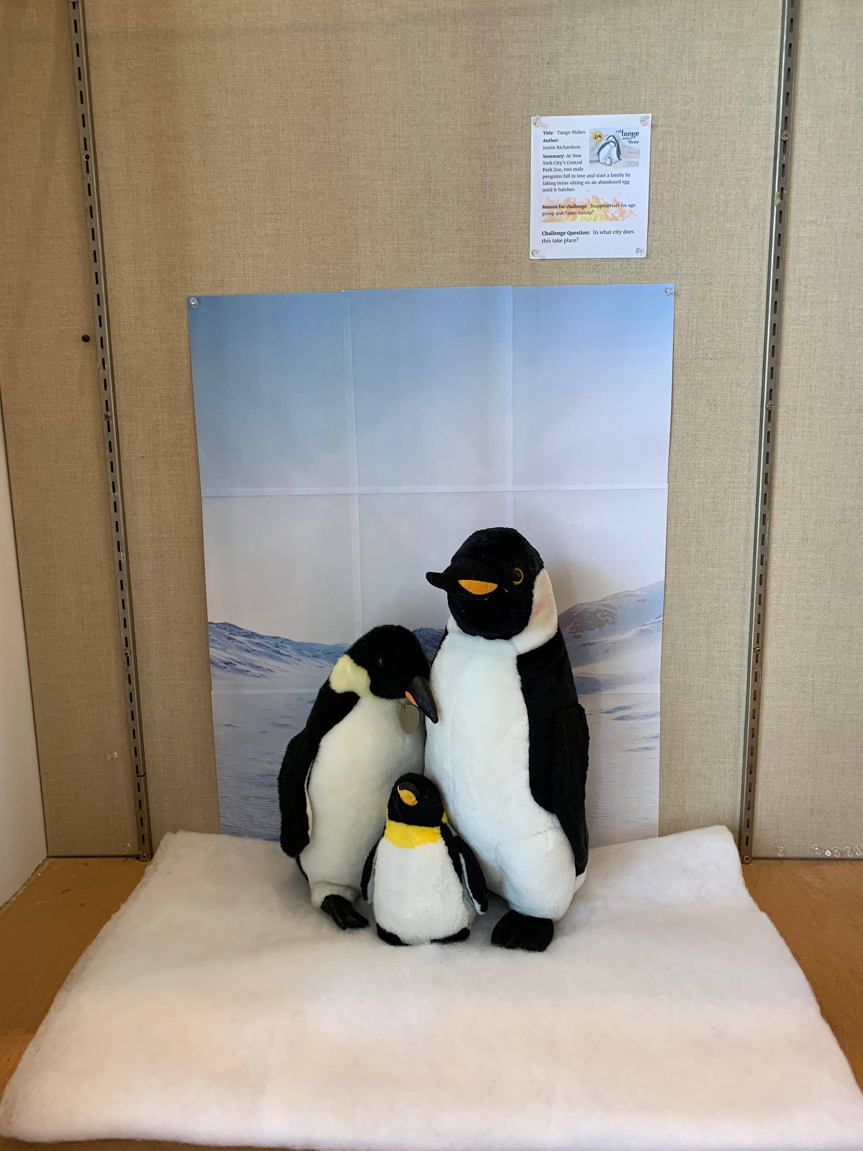 Carmel Valley Banned Books Week Display