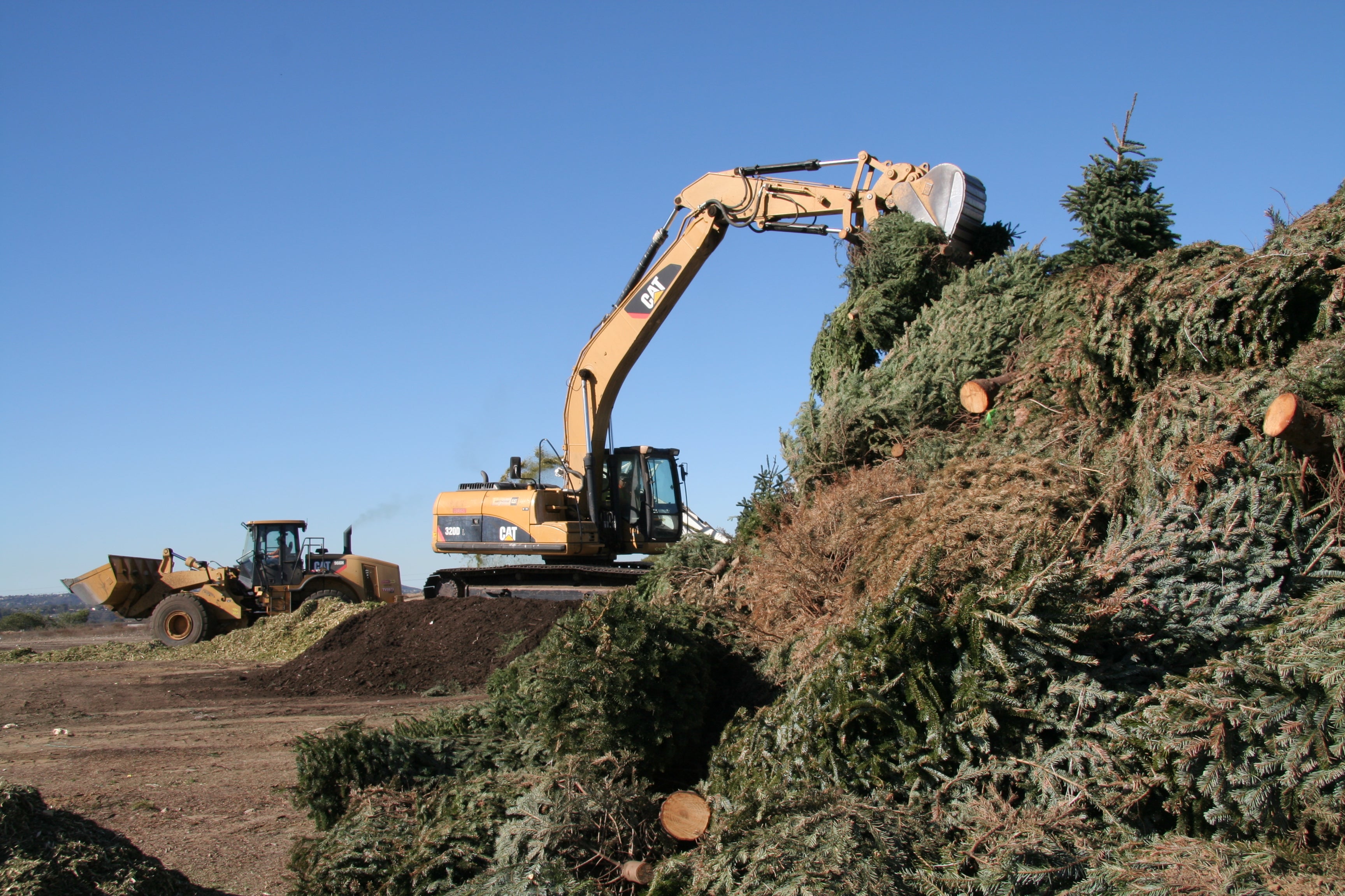 Christmas Tree Recycling 2025