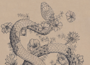 A drawing of a snake with flowers and chollas cactus bark by artist Hilary Dufour. 