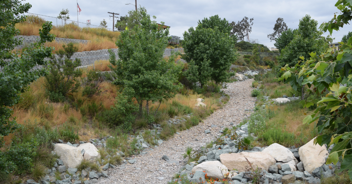 walkway surrounded by grass&#44; trees and rocks