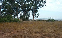 Photo of Open Space Photo of Open Space