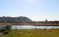 Photo of Torrey Pines