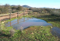 Photo of Vernal Pool Photo of Vernal Pool