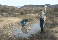 Photo of Workers at Vernal Pool